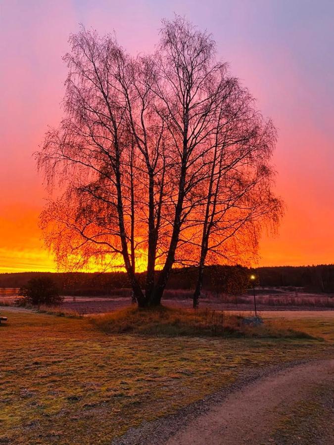 Aelvstalodges Jättendal