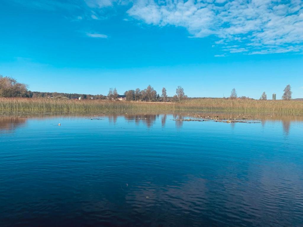 Lodge Aelvstalodges Jättendal